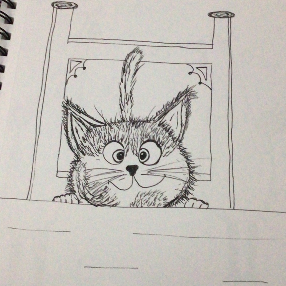 Cat ink drawing  7x10